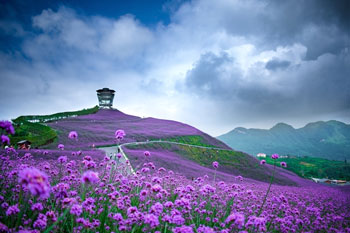 Guizhou Guizhou