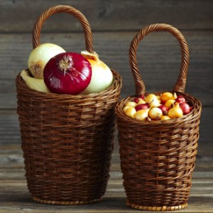 Cebollas Cebollas