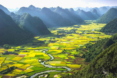 Tam coc