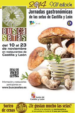 Cartel promocional 2014 Cartel promocional 2014