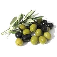 Aceitunas