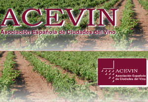 Acevin