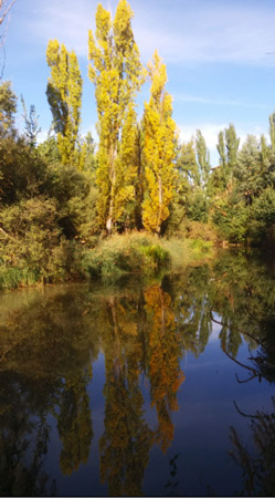 Un día de otoño Mañana de otoño
