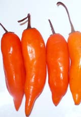 Aji