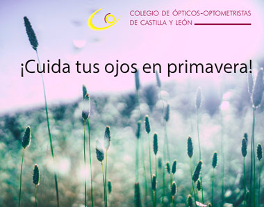 Protección de los ojos frente a las alergias primaverales Protección de los ojos frente a las alergias primaverales