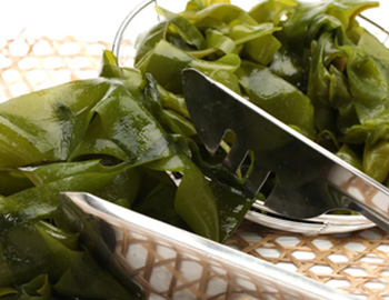 Alga Kombu Alga Kombu