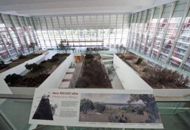 Sala central del Museo de la Evolución Humana Sala central del Museo de la Evolución Humana