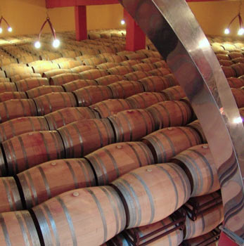 Bodega Olmedillo de Roa