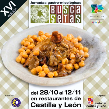 Jornadas Gastro-micológicas Buscasetas