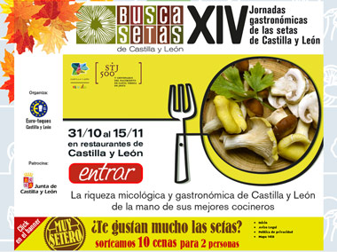 Jornadas gastronómicas Buscasetas Jornadas gastronómicas Buscasetas