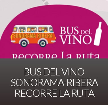 Bus del Vino