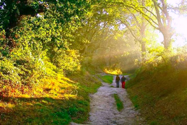 ‘Camino de la Colaboración. Camino del Reciclaje'