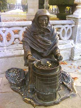 Castanera en el Paseo del Espolón (Burgos)