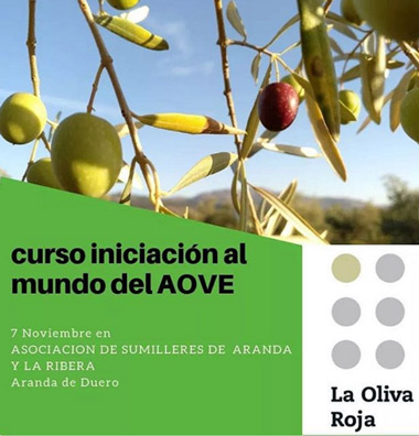 Cata de iniciación al mundo del AOVE Cata de iniciación al mundo del AOVE
