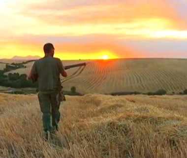 Inicio de la Media Veda en Castilla y León