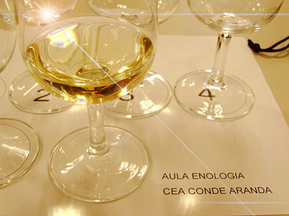 cenacepa20092