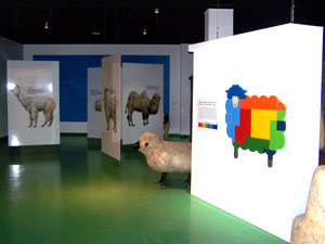 Centro de la Lana