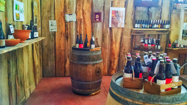 Cerveza Mica continúa su desarrollo y cosecha reconocimientos internacionales Cerveza Mica cosecha reconocimientos internacionales