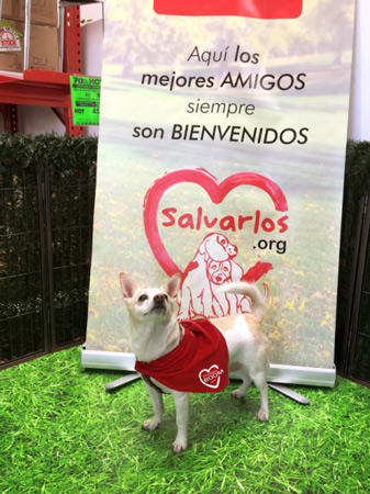 campaña `Salvarlos’ Campaña `Salvarlos’