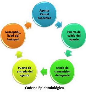 Prevenir intoxicaciones en verano cocina3 Prevenir intoxicaciones en verano