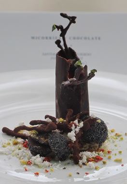 Micorriza y chocolate