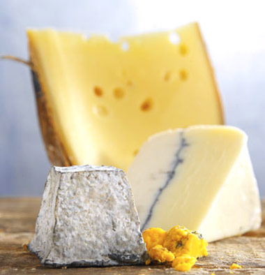 Se busca el Queso más novedoso Se busca el Queso más novedoso