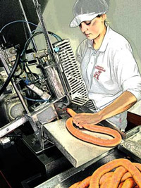 Imagen interior de la Web