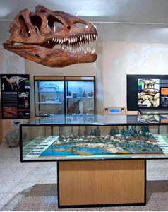 Cráneo, colmillos y huesos de un Baryonyx Cráneo, colmillos y huesos de un Baryonyx