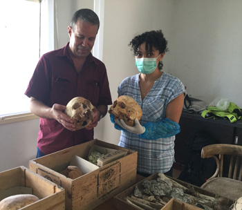 Hace 7400 años migrantes de la Península Iberica introdujeron la agricultura en Africa Dra. Cristina Valdiosera (Universidad de Burgos) y Dr. Youssef Bokbot (L’Institut National des Sciences de l’Archéologie et du Patrimoine, Rabat, Marruecos