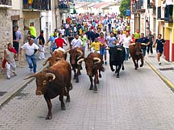 Encierros en Peñafiel