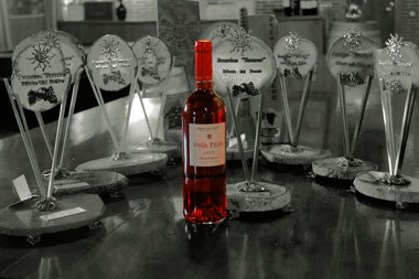 Premios Envero