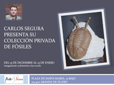 Cartel Exposición