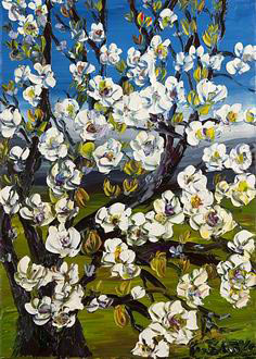 Cerezo en Flor