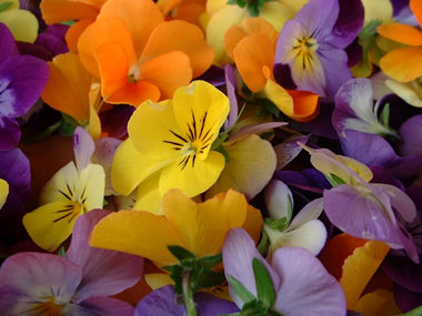 Flores Comestibles