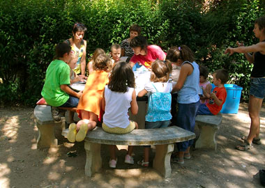 Taller sobre Biodiversidad