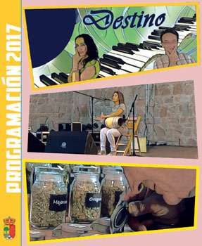 Actividades programadas Actividades programadas