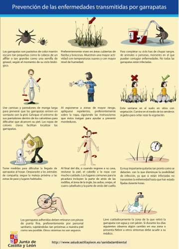 Garrapatas prevención Prevención de las garrapatas