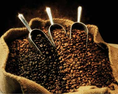 Granos de Café