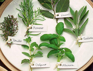 Hierbas aromáticas