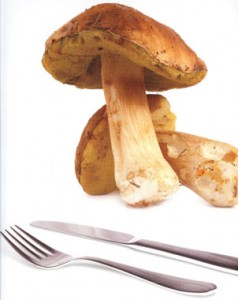Setas, Boletus Edulis