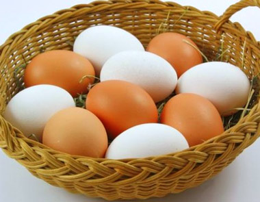 Exportación de huevos españoles a Estados Unidos