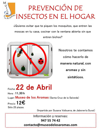 Insectos Insectos
