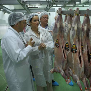 Lechazo Tierra Sabor