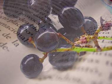 III Ciclo Literatura y vino III Ciclo Literatura y vino