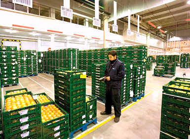 Sector agroalimentario exportación