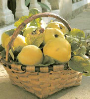 Membrillos