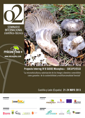 Cartel del Seminario Micosylva