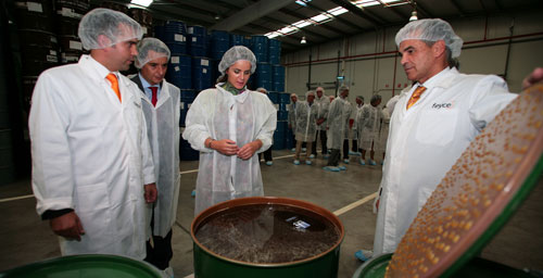 Visita a la Empresa Feyce