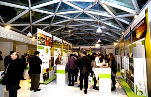 Muestra Enoturistica Rutas del Vino en Madrid