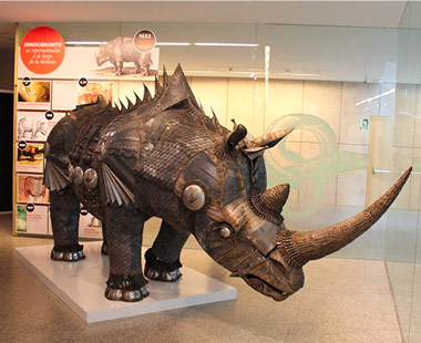 Museo de la Evolución Humana Museo de la Evolución Humana